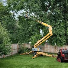 Best Emergency Tree Removal  in Cullowhee, NC