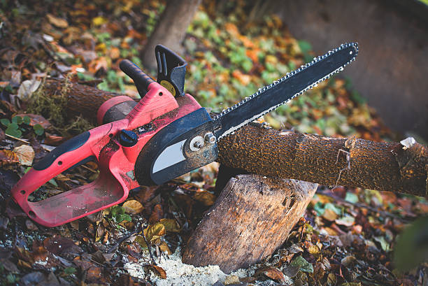 Best Lawn Watering Services  in Cullowhee, NC